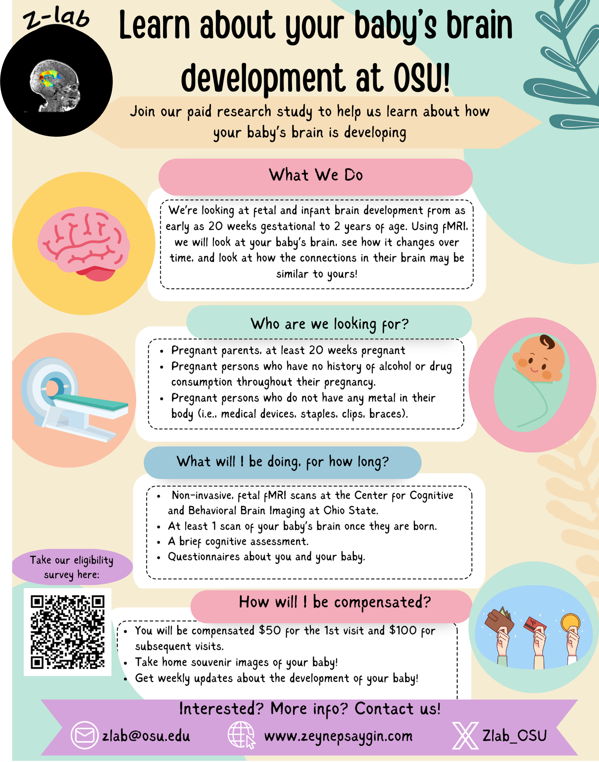 To participate in a study about your baby's brain development, contact the Z lab