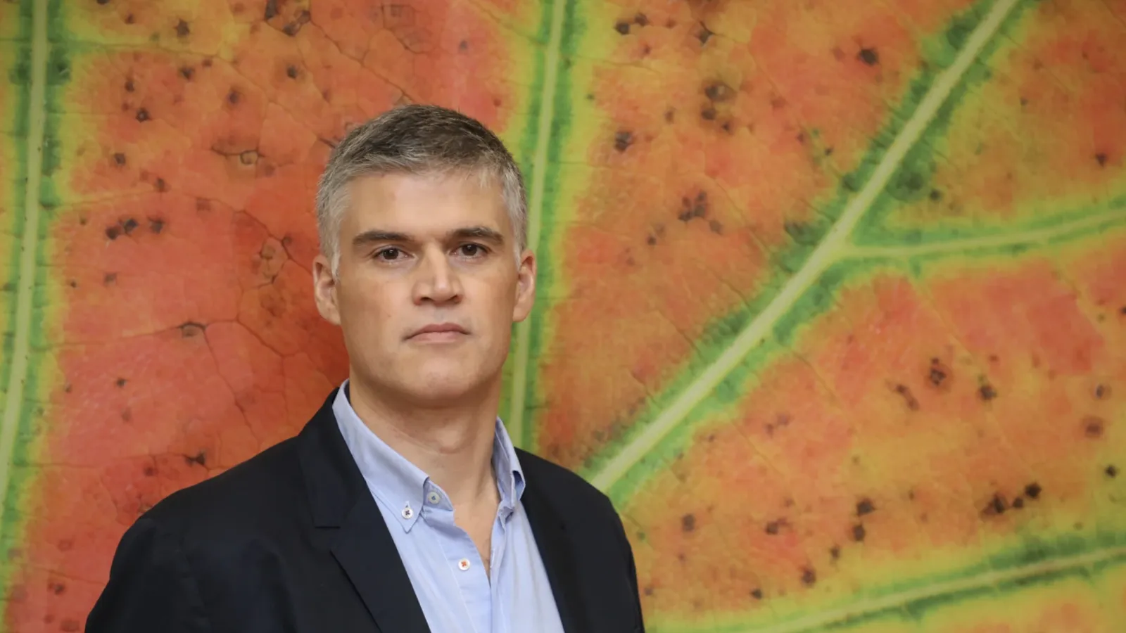 Dr. Sepulcre is the February speaker for CCBBI's fMRI Talk Series