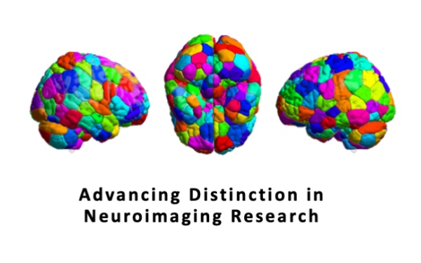 advancing distinction in neuroimaging research
