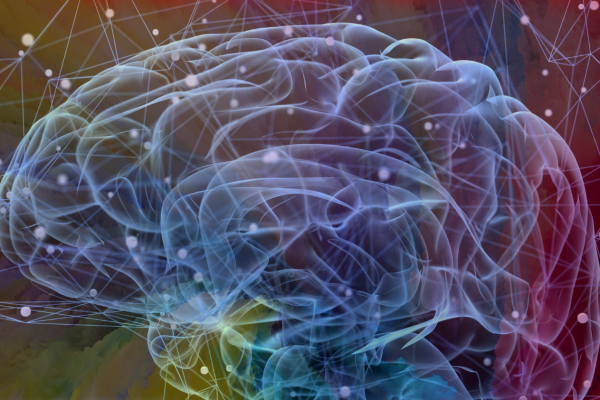 Brain Image