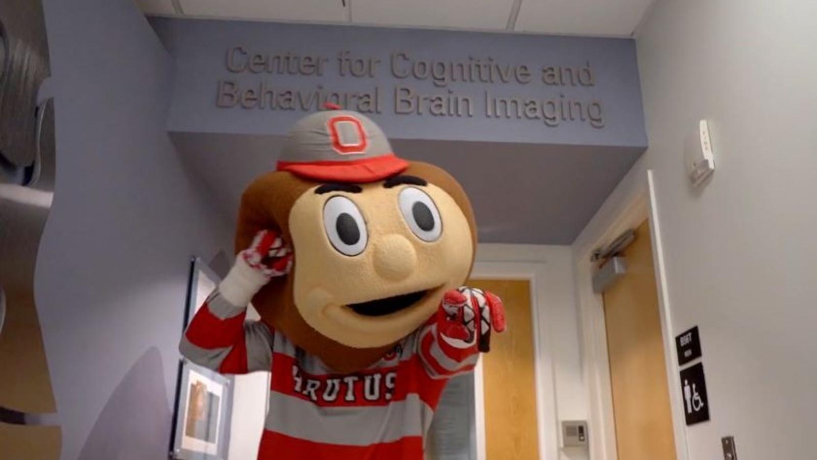 Brutus in the hall in front of the MRI room