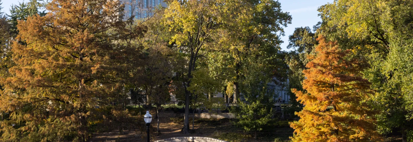 View of campus fall colors from the top of the Browing Ampitheatre on a late fall day.